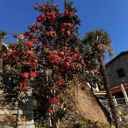 Casa Carina Holiday home *